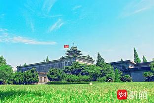 购买王子公园球场被巴黎市拒绝，纳赛尔：就因为我们是阿拉伯人？